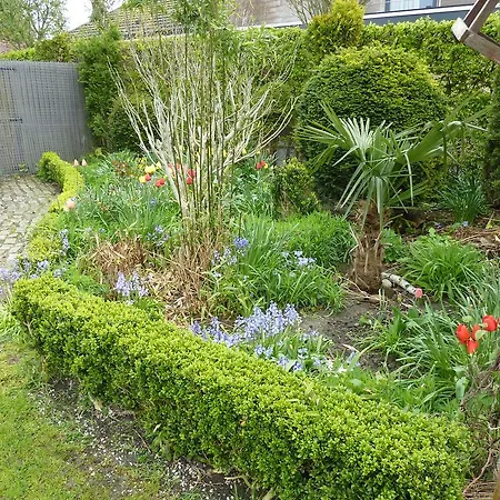 Frühstückspension De Papegaai *