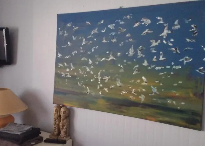 Bed & Breakfast De Papegaai Middelkerke