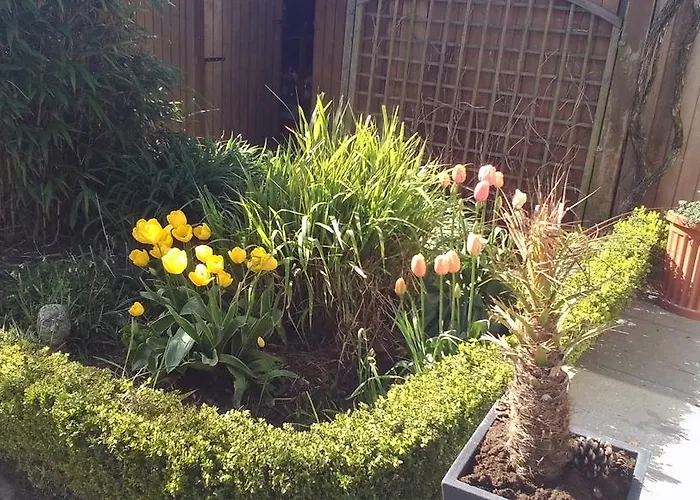 De Papegaai Middelkerke