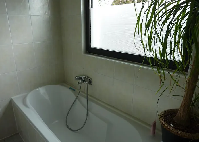 Bed & Breakfast De Papegaai